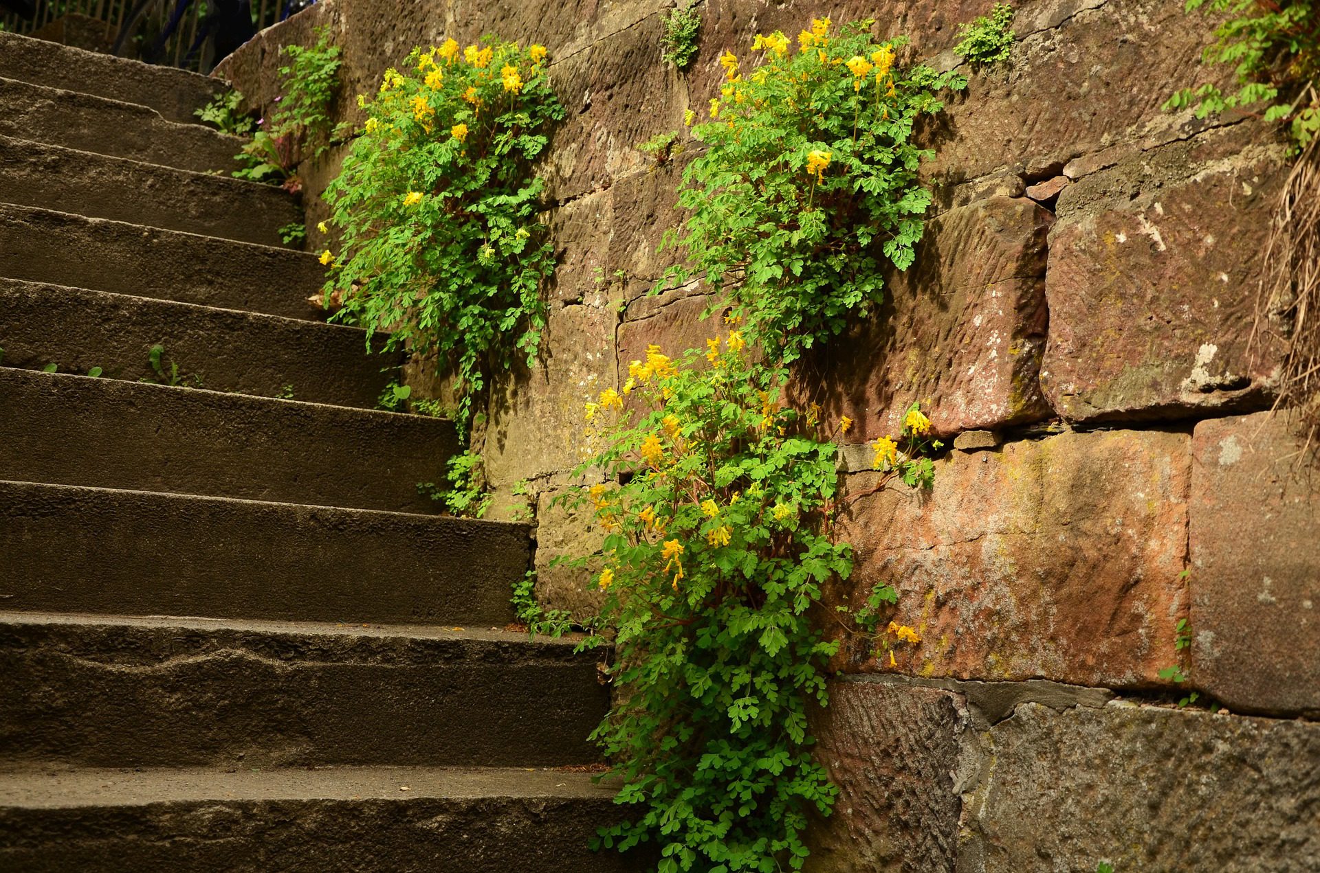 How Safe Are Your Masonry Steps?