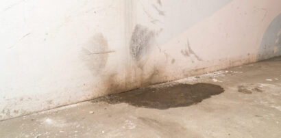 How to Know if Your Basement Needs a Complete Rebuild