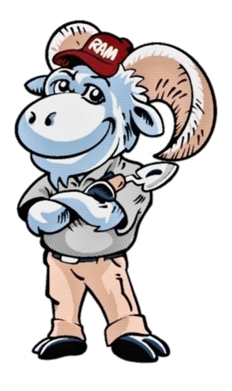 RAM Guy